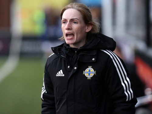 Northern Ireland v Belgium 66.JPG