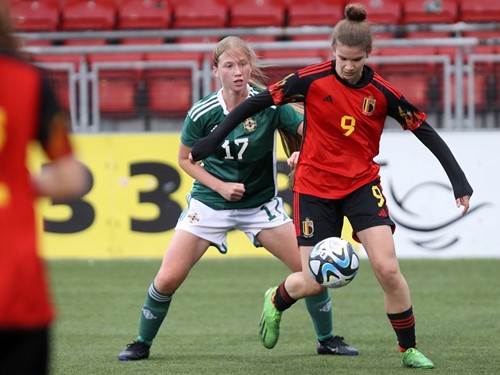 Northern Ireland v Belgium 74.JPG