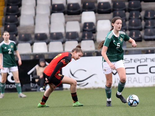 Northern Ireland v Belgium 79.JPG