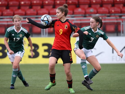 Northern Ireland v Belgium 77.JPG