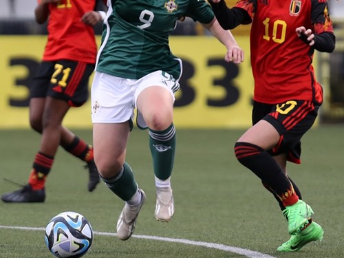 Northern Ireland v Belgium 88.JPG