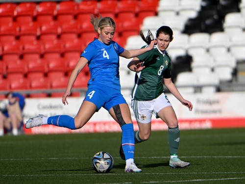 NI V Iceland _0028.JPG
