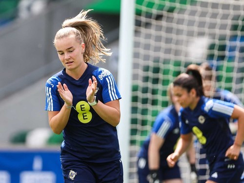 NIR W v BIH Training 3.jpg