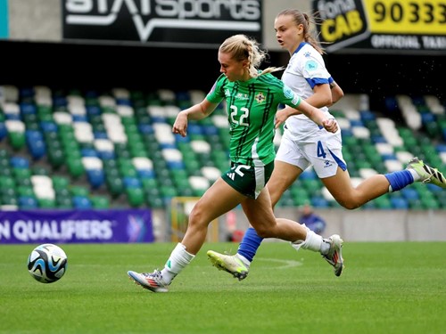 NIR W v BIH 8.jpg