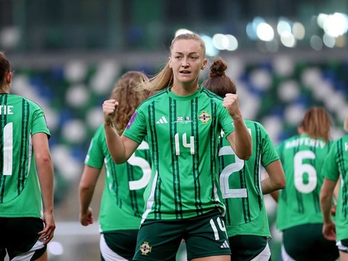 NIR W v BIH 10.jpg