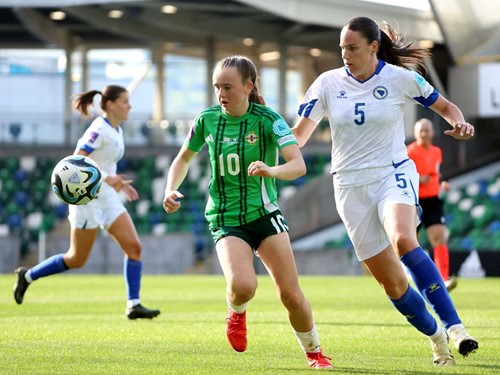 NIR W v BIH 5.jpg