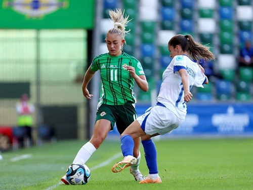 NIR W v BIH 4.jpg