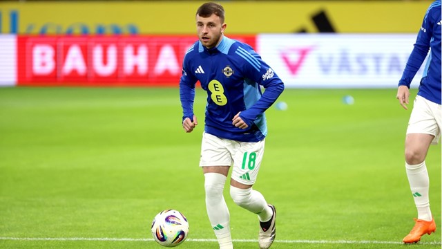 Sweden v N Ireland_025.jpg 