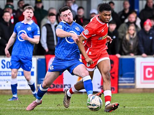 94131_2903773 (1).png