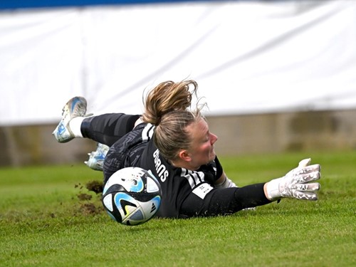 NIR W v SUI W 4.jpg