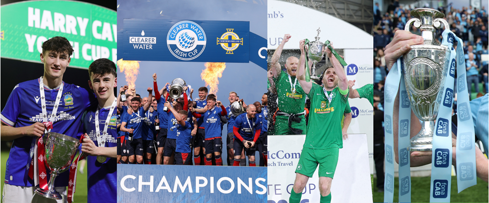 domestic trophies.png