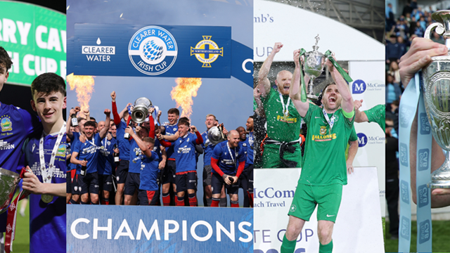 domestic trophies.png 