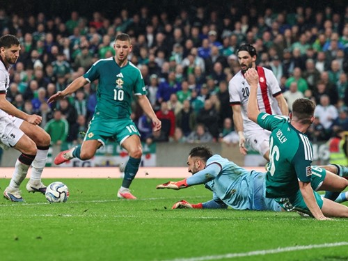 NIR v GEO 7.jpg