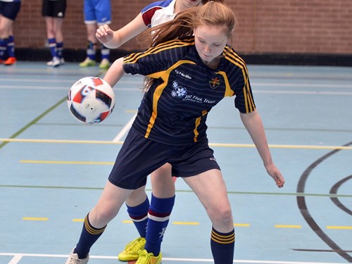 LADIES 2016 FUTSAL FINALS 15 (1).jpg