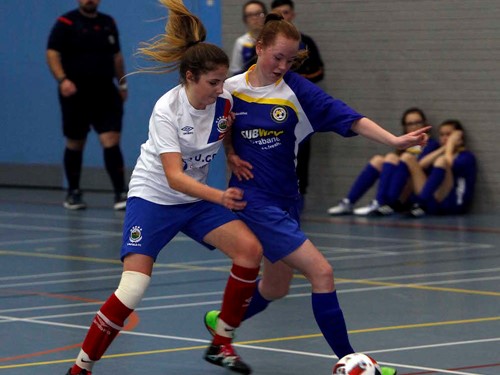 UNDER 15 GIRLS FOOTBALL 27012017 SHANKILL 018 copy.jpg