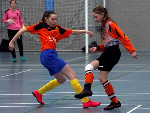 UNDER 15 GIRLS FOOTBALL 27012017 SHANKILL 015 copy.jpg