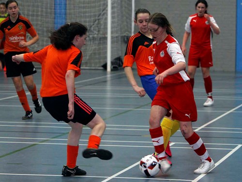 UNDER 15 GIRLS FOOTBALL 27012017 SHANKILL 024 copy.jpg